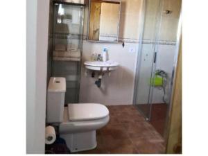 ein Bad mit einem WC, einem Waschbecken und einer Dusche in der Unterkunft Ca' Anibal in Tías