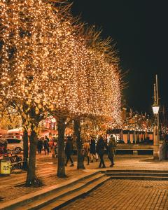 Hosté ubytování Gothersgade + 4 fotografie