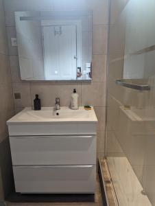 ein Badezimmer mit einem weißen Waschbecken und einem Spiegel in der Unterkunft Rosa in Sedan