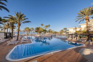 Una gran piscina con sillas y palmeras. en Grupotel Orquidea, en San Agustín 16 fotos más