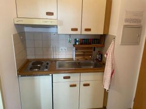a small kitchen with a sink and a stove at Apartment in den Bergen in Bad Griesbach