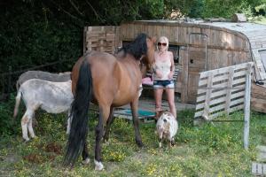 une femme debout à côté d'un cheval à côté d'un chien dans l'établissement Tiny House Bohême pour amoureux en Day use 12 à 20H, à Pont-à-Celles