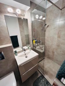 a bathroom with a sink and a shower at Modern Studio near The Old Town center, Subway, Park and Mall in Bucharest