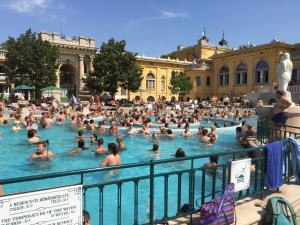 eine Menschenmenge in einem Schwimmbad in der Unterkunft Budapest, Graf Teleki Laszlo Appartement in Budapest