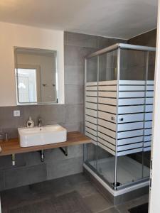 a bathroom with a sink and a glass shower at Roccos Raum in Kapfenberg