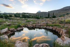 uma piscina de água com uma ponte num campo em Studio Drogari em Éxo Apídhion