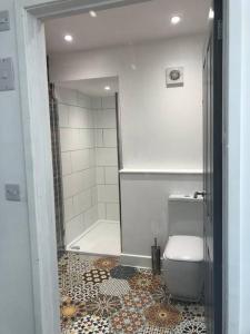 a bathroom with a shower and a toilet in it at Sharp Tor Riverside Studio Apartment in Plymouth