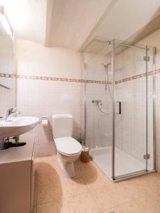 a bathroom with a toilet and a shower and a sink at Il Rustico Claro in Bellinzona