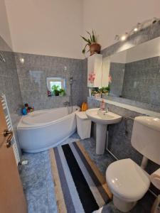 a bathroom with a tub and a toilet and a sink at Harmony Haven in Cluj-Napoca