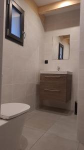 y baño con aseo, lavabo y espejo. en Le Toit du Cambre d'Aze en Saint-Pierre-dels-Forcats