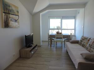 a living room with a couch and a tv at Pansion Berat in Vodnjan