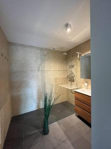 ein Badezimmer mit einer Dusche und einer Vase mit einer Pflanze in der Unterkunft Sonnige Wohnung mit schöner Aussicht in Wolfurt in Wolfurt