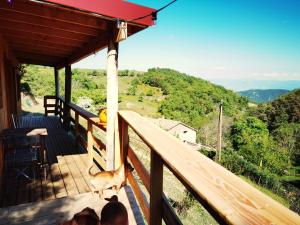 a dog standing on the porch of a wooden deck at La Ferme de Samson in Saint-Péray