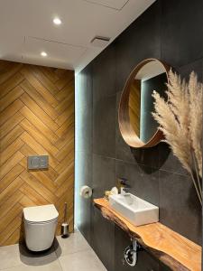 a bathroom with a toilet and a sink and a mirror at Templomvölgy Resort Mátrakeresztes in Matrakeresztes