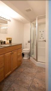 uma casa de banho com um WC e uma cabina de duche em vidro. em 2BR 1BR cozy basement suite em Leduc