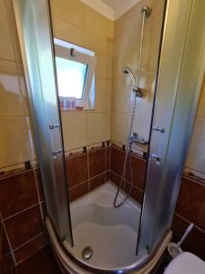 a bathroom with a shower and a toilet at Apartments Hanna in Gdinj