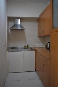 a small kitchen with a sink and a stove at Klimentos Flat 59 in Nicosia