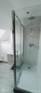 Grand appartement lumineux. في Denain: دش زجاجي في حمام مع حوض