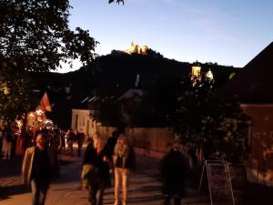 a group of people walking down a street at Refugium Ottenthal in Ottenthal