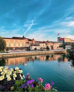 a body of water with flowers in front of a city at Le Solençon de 1 à 4 pers - Hypercentre in Cognac