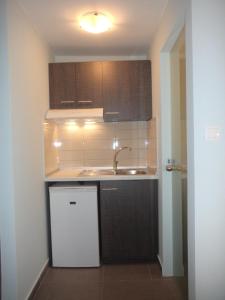 Η κουζίνα ή μικρή κουζίνα στο Hotel Dioni +75 φωτογραφίες