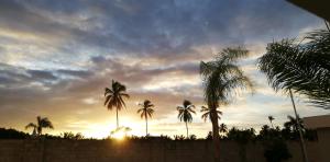 einen Sonnenuntergang mit Palmen vor einem Zaun in der Unterkunft SEVEN SHADES OF CORAL VILLAGE - suites & pool in a residence close to the beach in Punta Cana