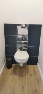 a bathroom with a white toilet in a room at Cœur de ville, spacieux appartement rez de jardin in Paimpol