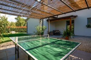 a ping pong table in the backyard of a house at Family villa Filton with wellness in Vizinada in Vranje Selo