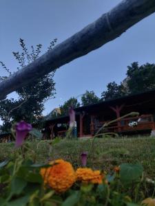 Zahrada ubytování Rafting Camp Green Tara