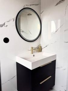 a bathroom with a sink and a mirror at LE PUNTA CANA in Villeurbanne