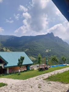 Šćepan-PoljeにあるRafting Camp Green Taraの山々を背景にした緑の屋根の家