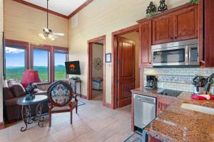 eine Küche mit einem Wohnzimmer mit einem Sofa in der Unterkunft Arc de Texas -Lafayette Suite in Johnson City