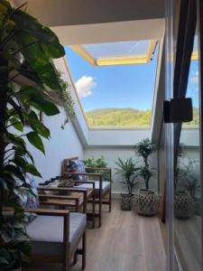 um quarto com uma grande clarabóia e algumas plantas em Apartmány & Wellness Revenite em Jeseník