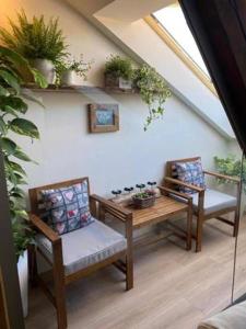 um quarto com duas cadeiras e uma mesa com plantas em Apartmány & Wellness Revenite em Jeseník