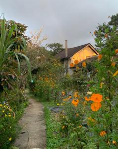 a path leading to a house with a field of flowers at Family house - stay on pine hill Dalat in Xuan An