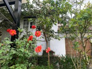 un arbusto con flores rojas delante de una casa en Family house - stay on pine hill Dalat en Xuan An