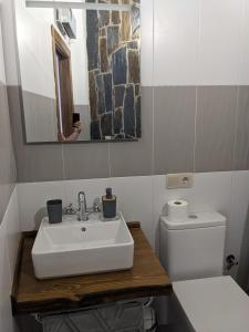 uma casa de banho com um lavatório, um WC e um espelho. em Casa Rural El Mayadero em Zamora