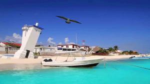 a bird flying over a boat on a beach at Casa Linda - Habitacion Puerto Morelos-Cancun-Playa Del Carmen in Puerto Morelos