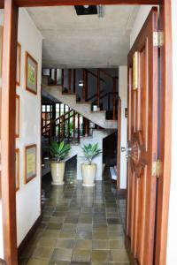 un couloir avec des plantes en pot et des escaliers dans une maison dans l'établissement Pousada O Garimpo., à Embu