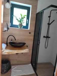 a bathroom with a sink and a glass shower at Przystanek Las in Gąsawa