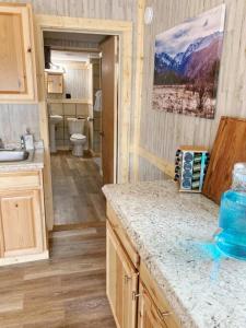 a bathroom with a sink and a toilet in a room at 12Private Room with Kitchen Dog Friendly Leadville in Leadville