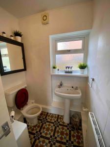 a bathroom with a toilet and a sink and a window at Brickworks - 2 bedrooms, 15 mins walk to the centre, with garden in Cardiff