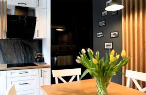 Eldhús eða eldhúskrókur á Apartamenty Stara Wisła