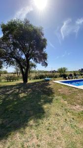 ein Baum neben einem Pool mit einem Baum in der Unterkunft Casa del Valle Merlo in Merlo