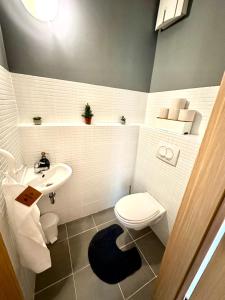 ein kleines Bad mit einem Waschbecken und einem WC in der Unterkunft Central apartment with balcony in Budapest