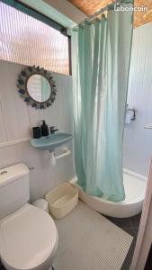 La salle de bains est pourvue de toilettes et d'un rideau de douche. dans l'établissement TI KAZ PIROGUE, à Étang-Salé les Bains