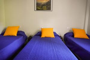 two beds in a room with purple and orange pillows at El Cedro Cottage Home in Hermigua