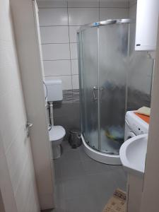 Koupelna v ubytování Apartman-Glavas