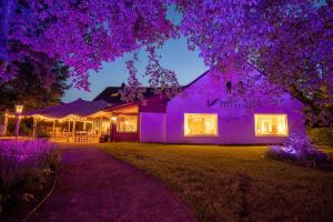 una casa con iluminación púrpura delante de ella en Waldhotel und Restaurant Zeitreise, en Bramsche