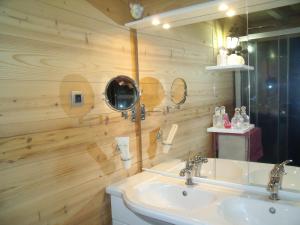 a bathroom with a sink and a mirror at Chez Jean Marc et Corinne in Priay